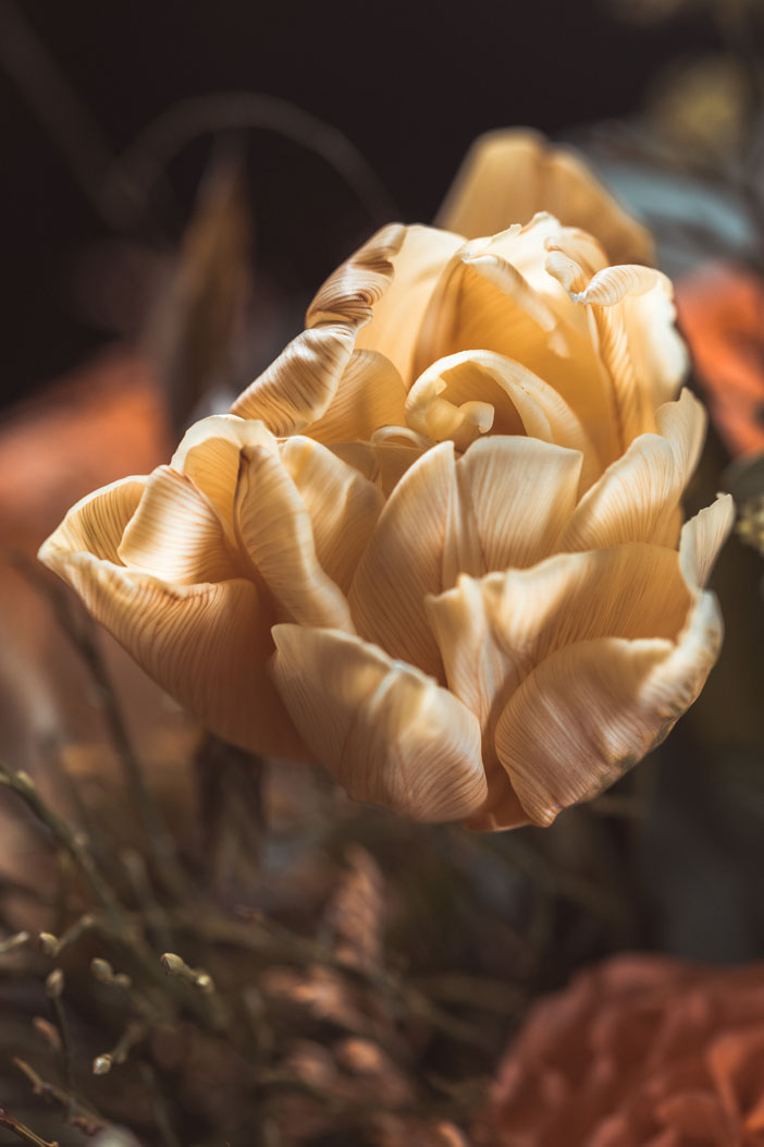 Fleuriste Landes - Histoire de Fleur - Damien Thuaud - Mariage